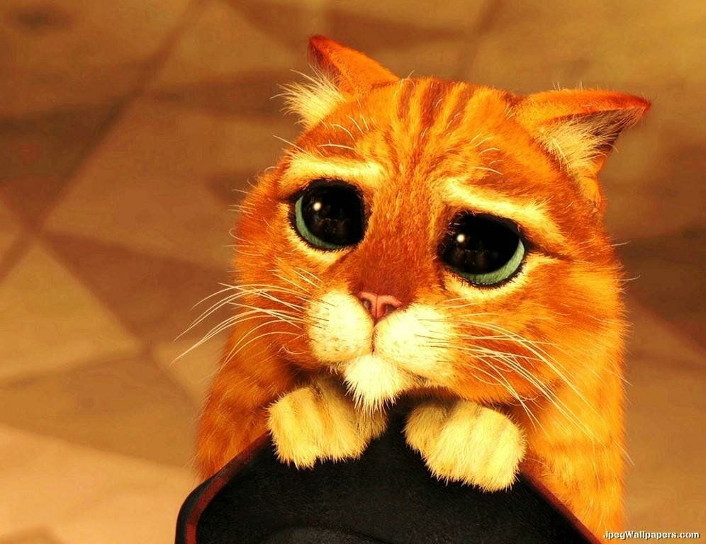 Puss-In-Boots-Shrek-4971261.jpeg