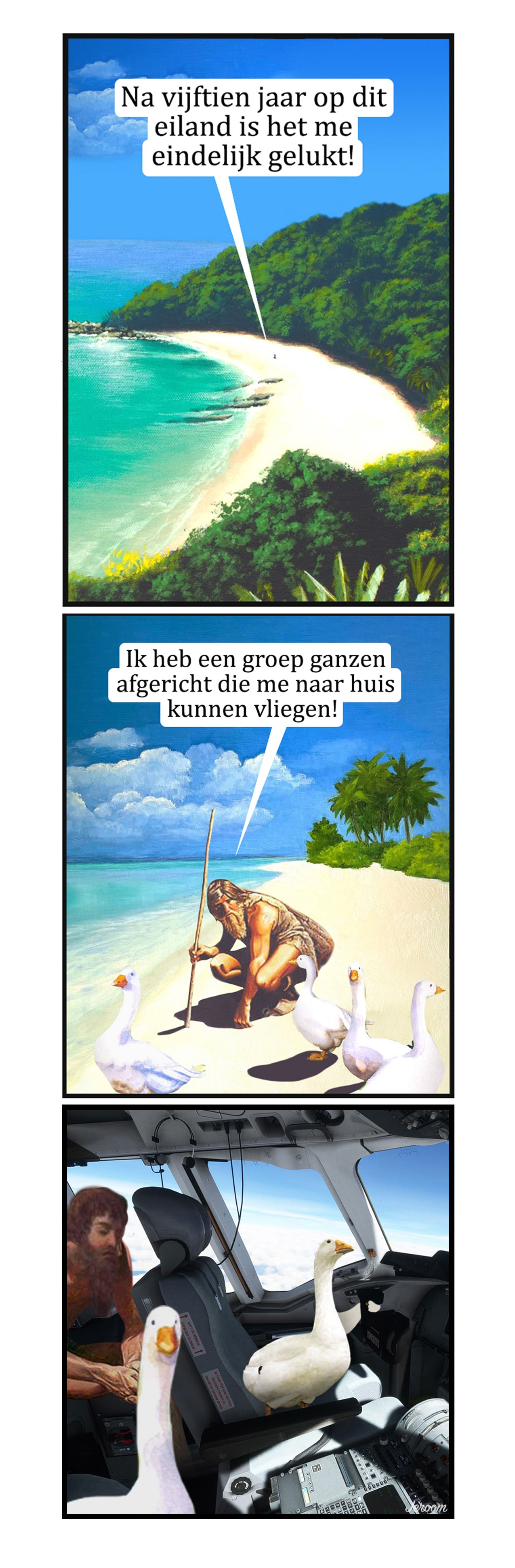 jeroom-4390-eiland-ganzen