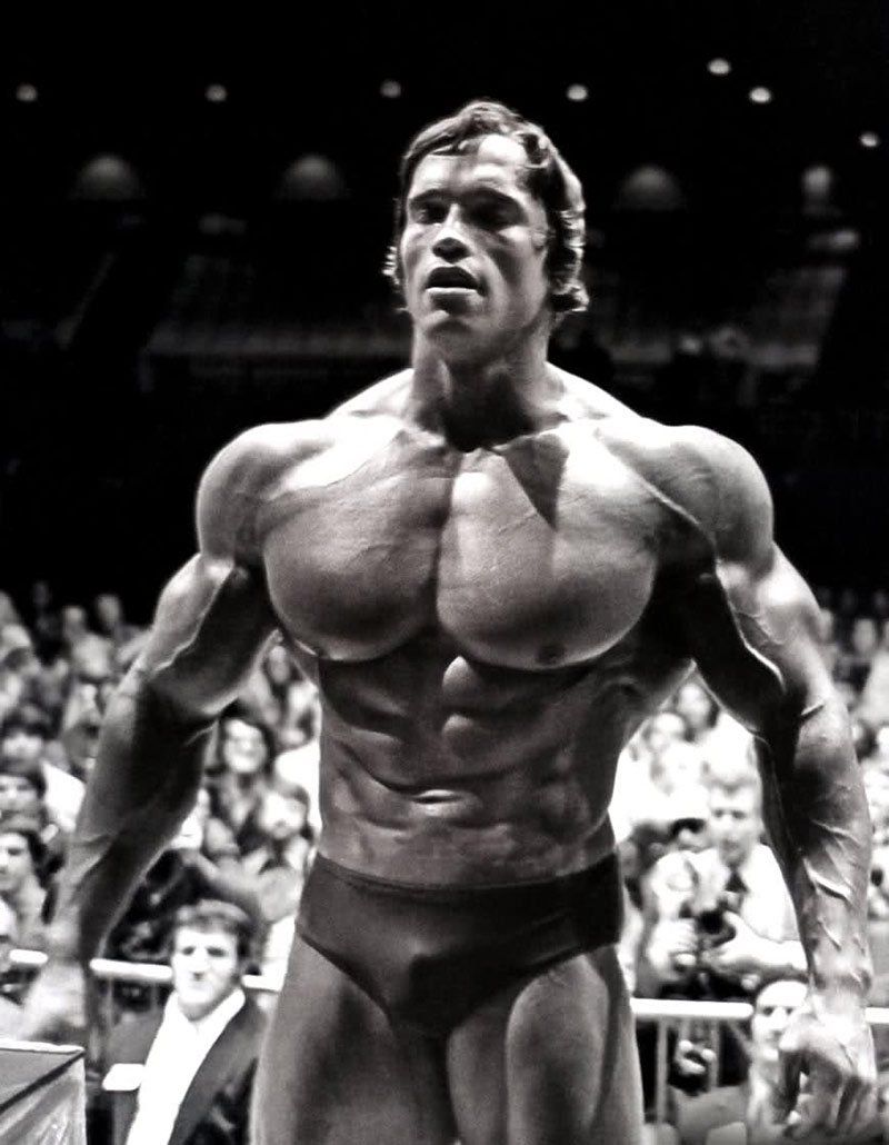 Arnold-Schwarzenegger.jpg