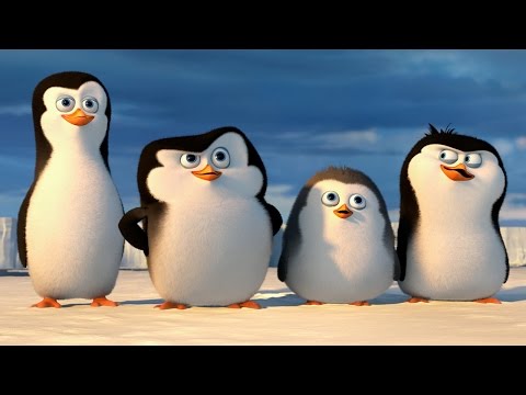 hqdefault.jpg