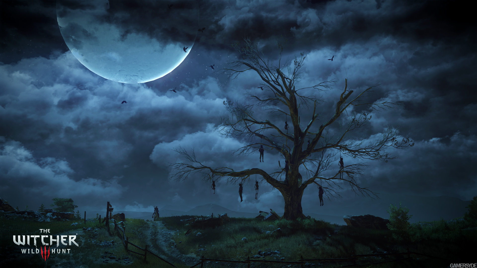 image_the_witcher_3_wild_hunt-25218-2651_0004.jpg