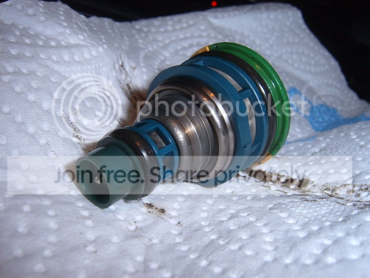 SUC50731.jpg