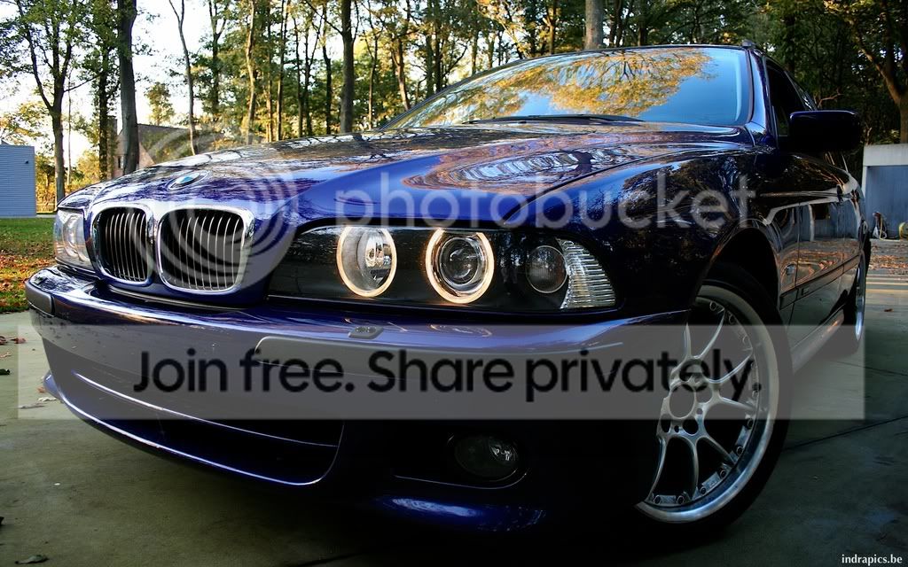 IMG_8685.jpg