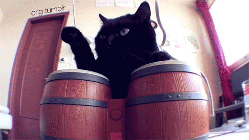 tumblr_lmdavuLl101qj9uf7o1_500.gif