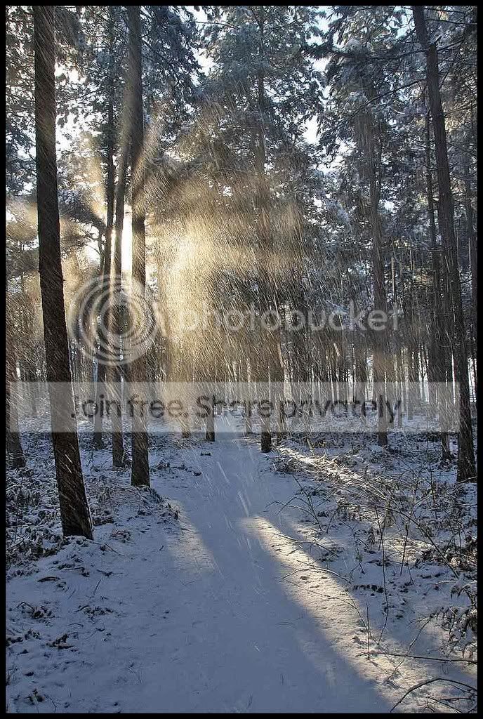 sized_IMG_0513-border.jpg