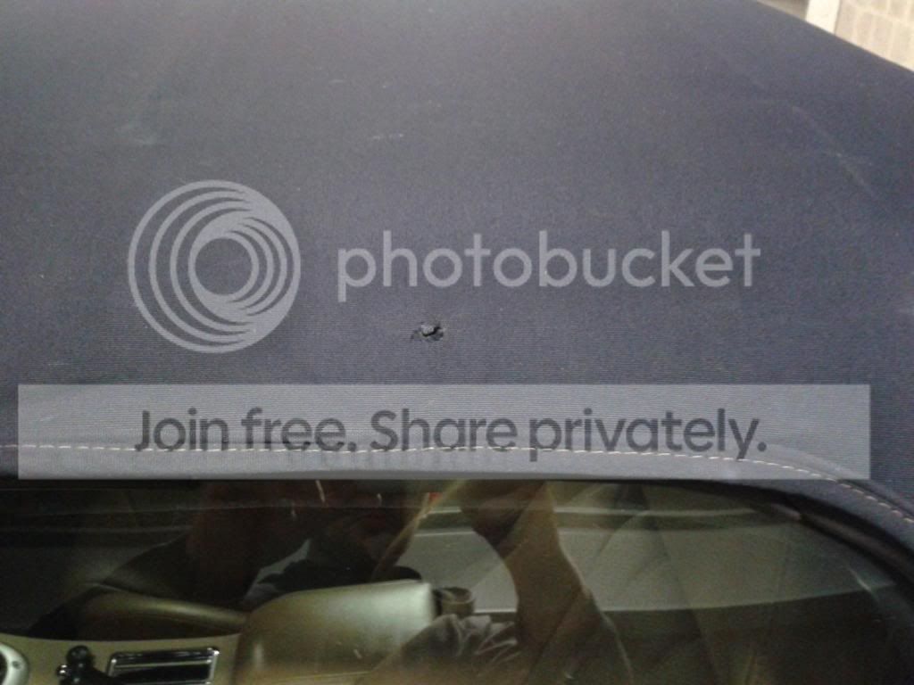 20130209_150928_zps01afb534.jpg
