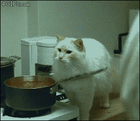 tumblr_mcjbvwjvws1qdlh1io1_400.gif