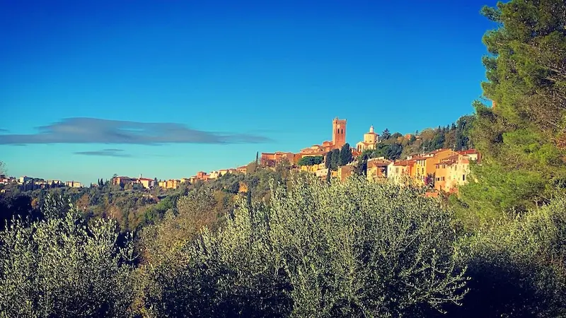 Via-Francigena-27-jpeg.webp