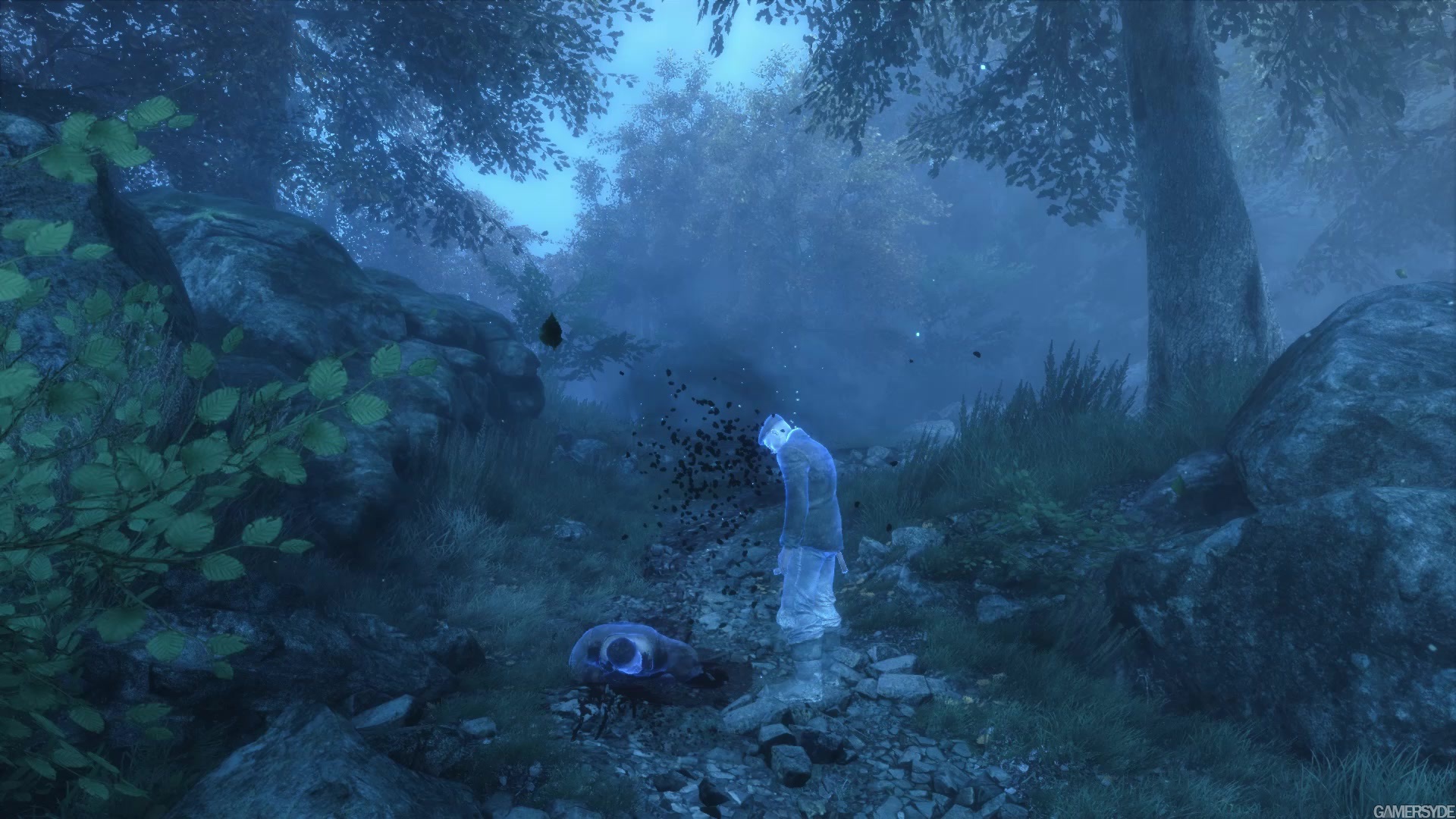 image_the_vanishing_of_ethan_carter-26094-2652_0014.jpg