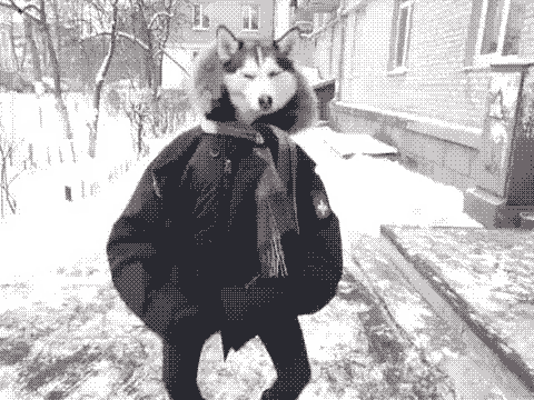 tumblr_ls7cx4TtEs1r3hk8ko1_500.gif