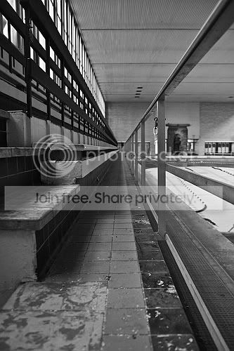 sized_IMG_3460.jpg
