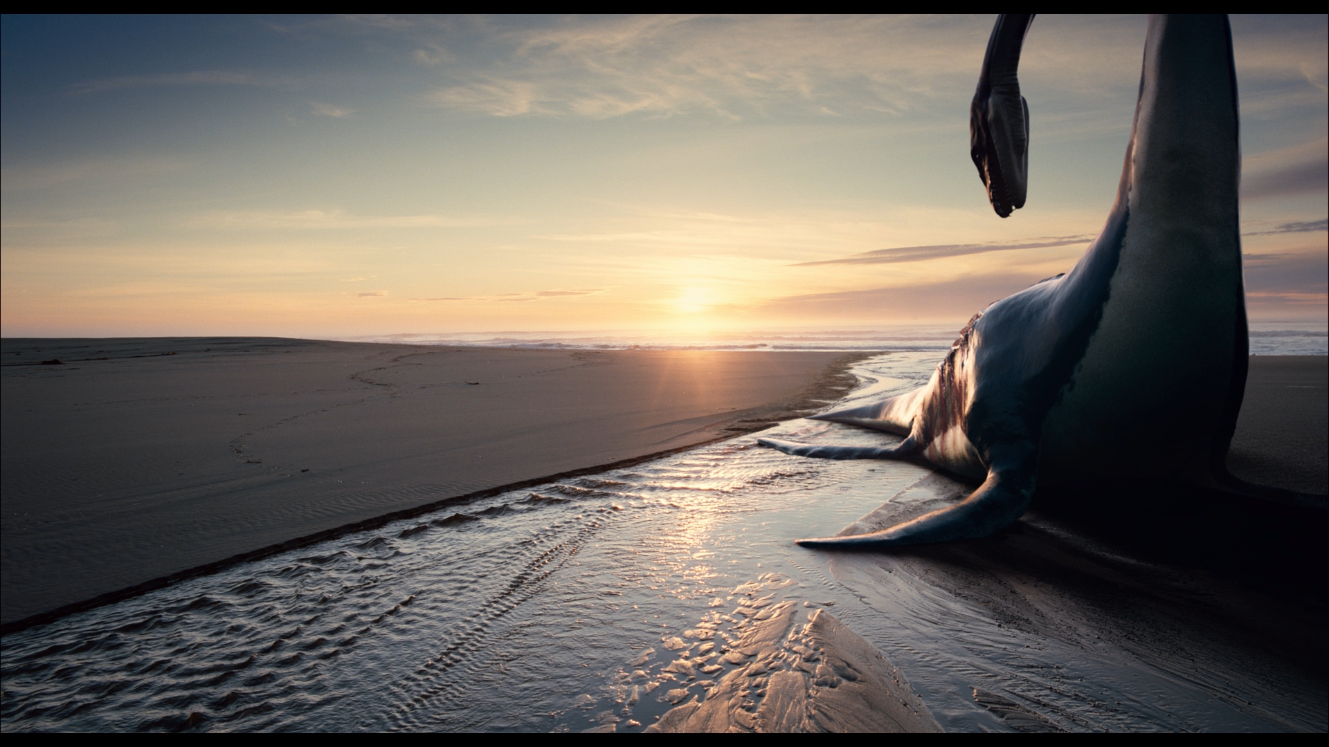 screenshot-lrg-14.png