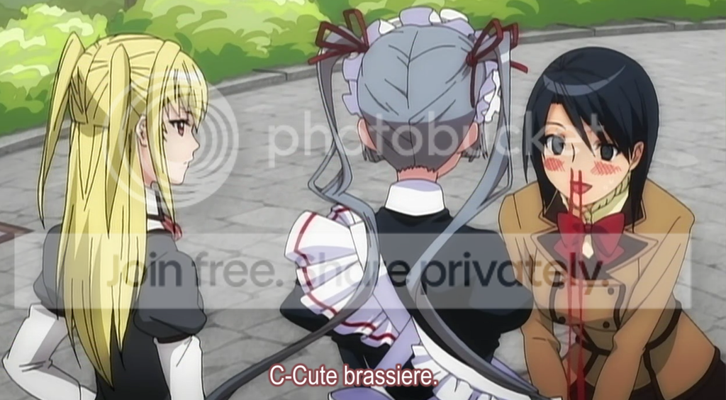 Untitled-1-20.png