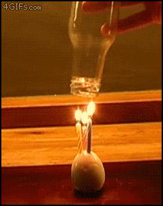 tumblr_lxid4yFlG81r8cvzdo1_250.gif