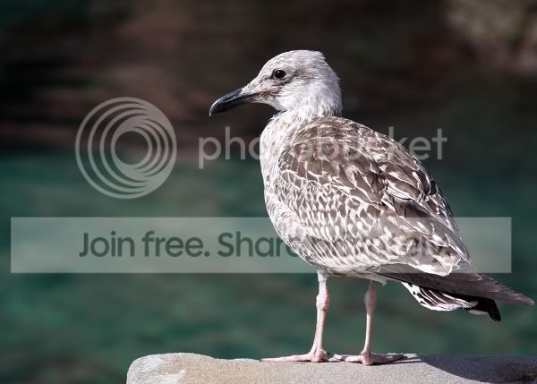 sized_IMG_2353.jpg