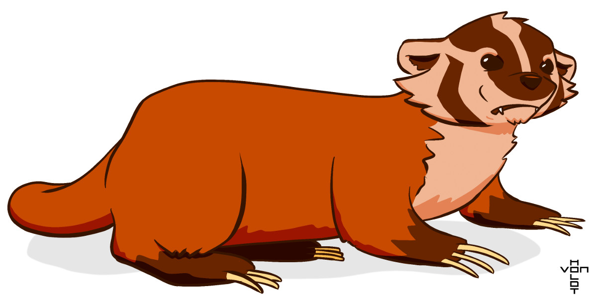 badger.jpg