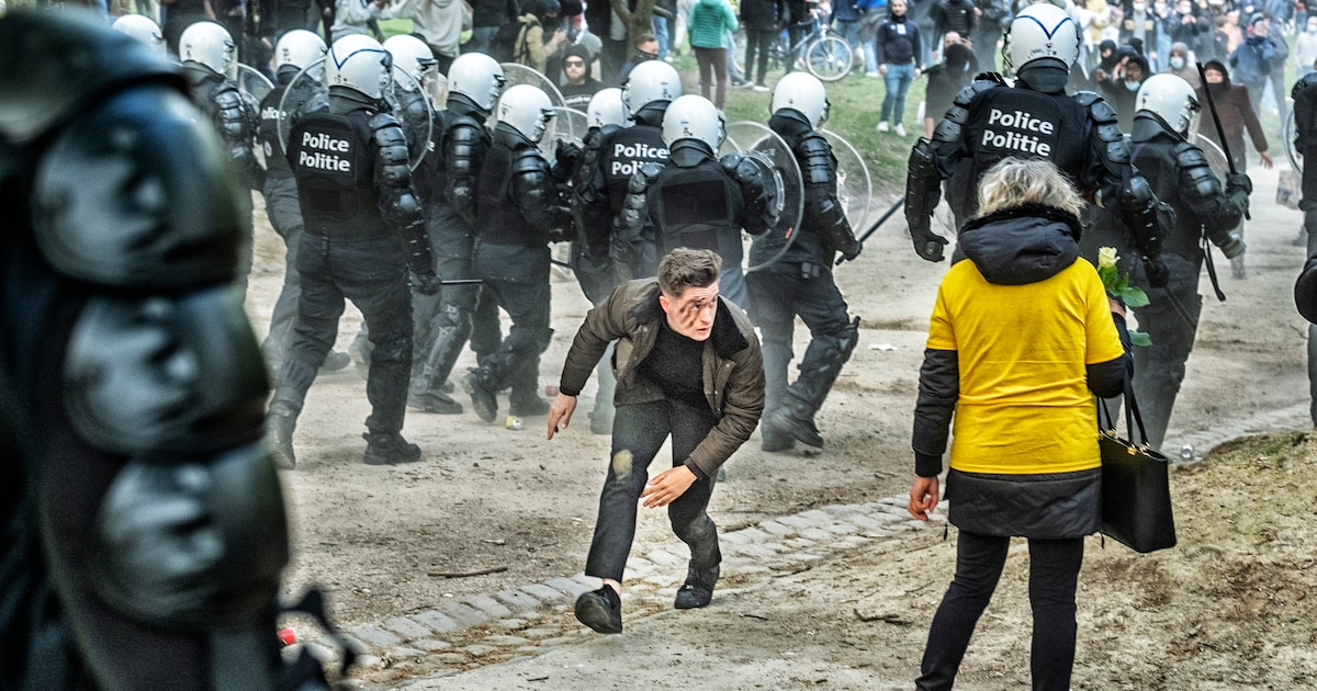 www.demorgen.be