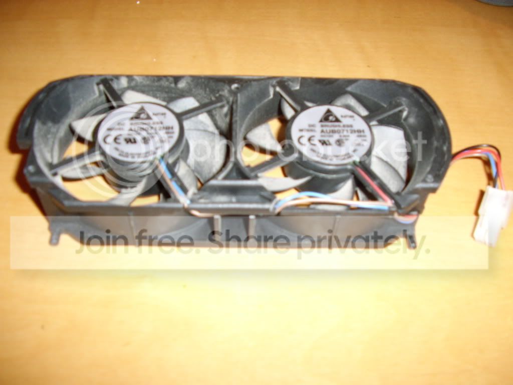 STA41784.jpg