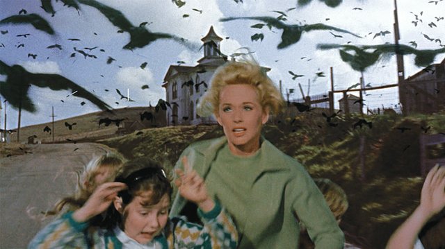 thebirds-3.jpg