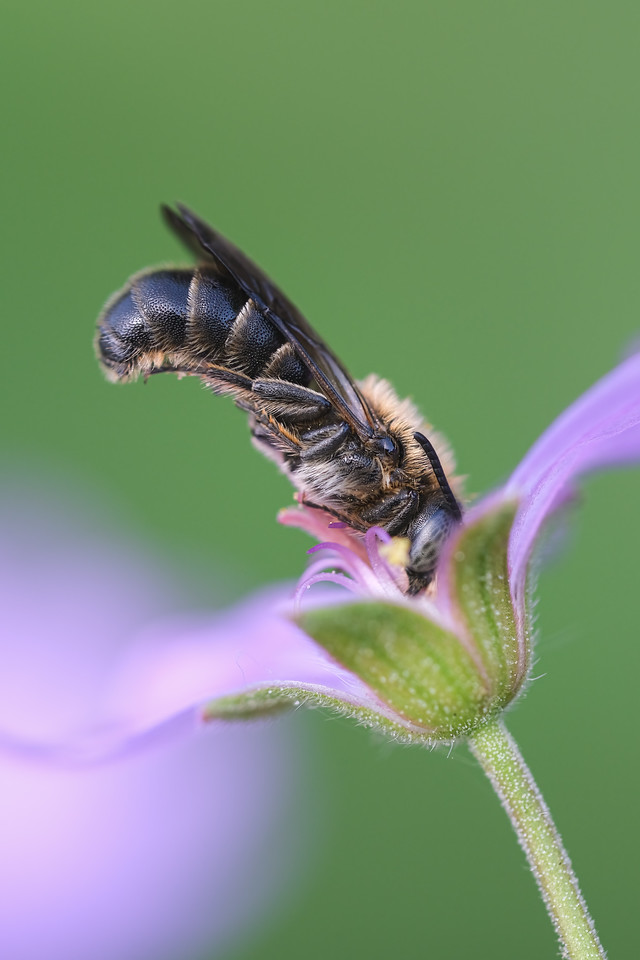 DSCF9306-bewerkt-X2.jpg