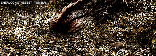 smaug-eye.gif