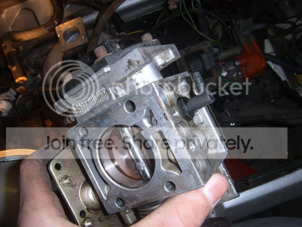 SUC50005.jpg