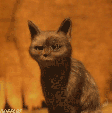 tumblr_lvu744YBNk1qekupso1_250.gif
