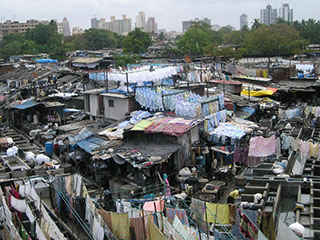6049386-th.jpg