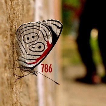 786LOW.jpg