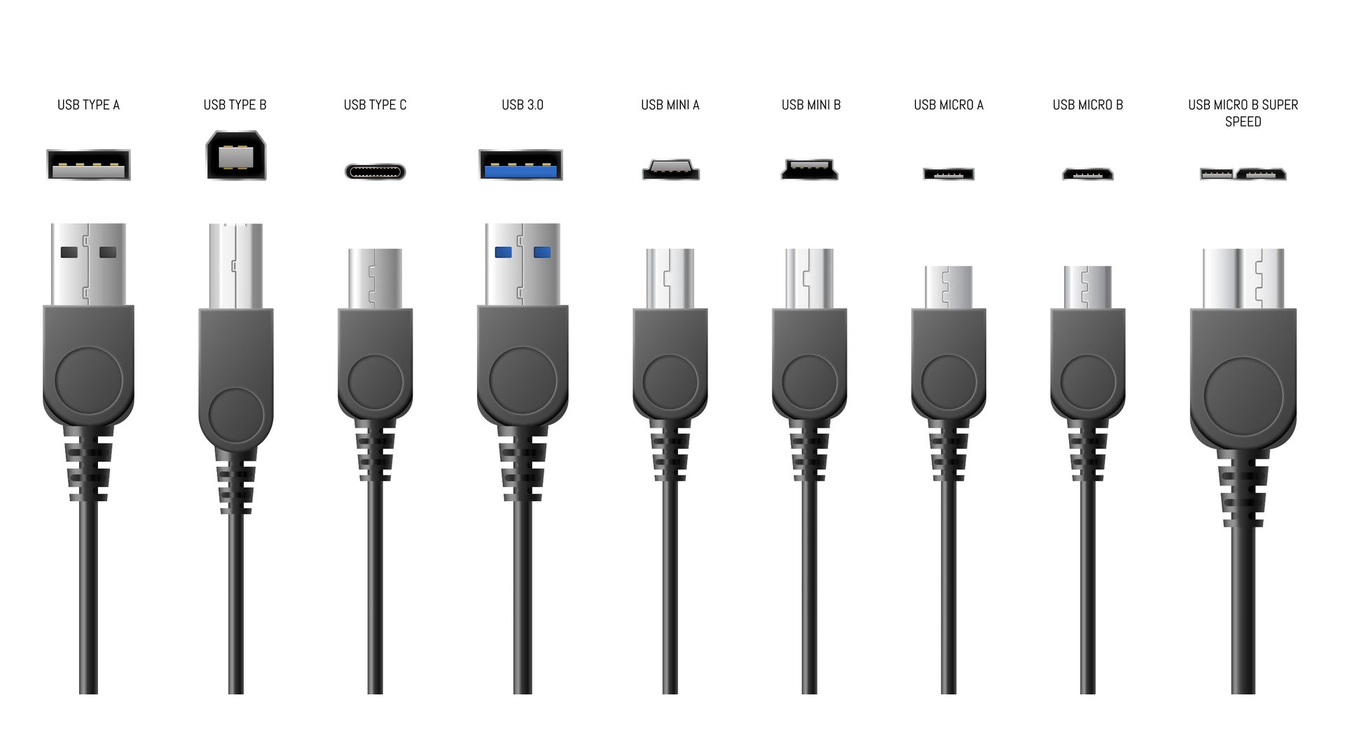 d6e91d51.jpg