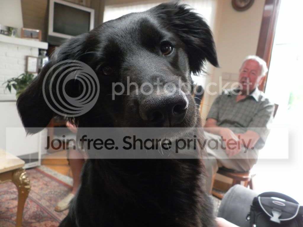 SAM_0123.jpg