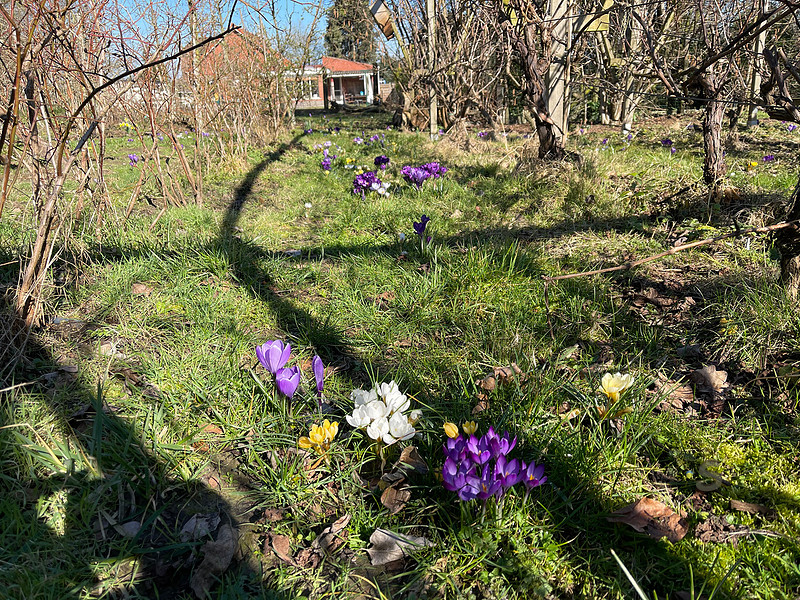 p4139384833-4.jpg