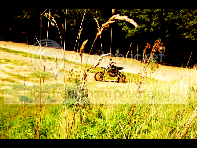 IMG_1802copy.png