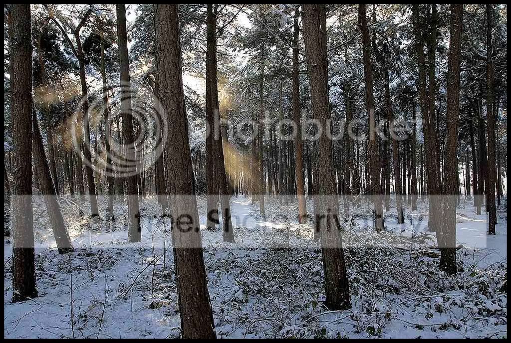sized_IMG_0494-border.jpg