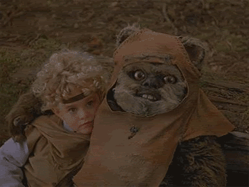 43fa51fc792b8.gif