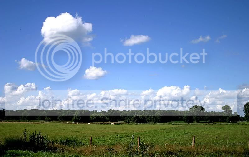 sized_Landschap013.jpg