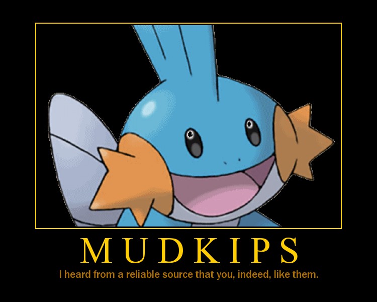 mudkipz.jpg