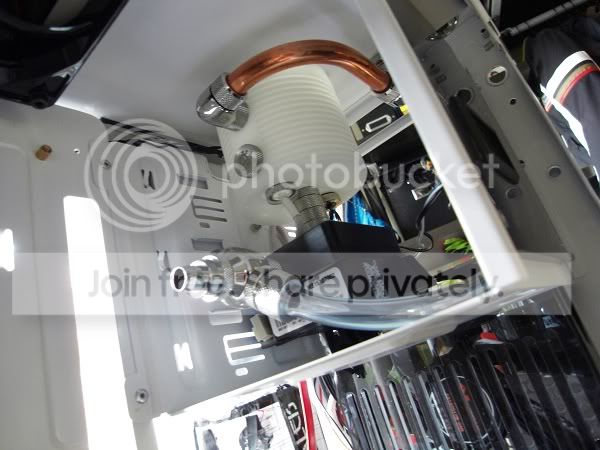 SDC10984.jpg