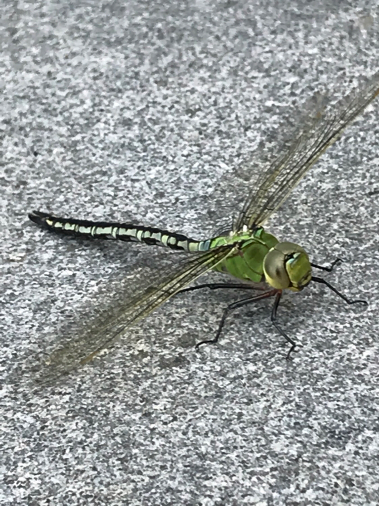 a3199cfdeedfef5285484c502dbd6cf0.jpg