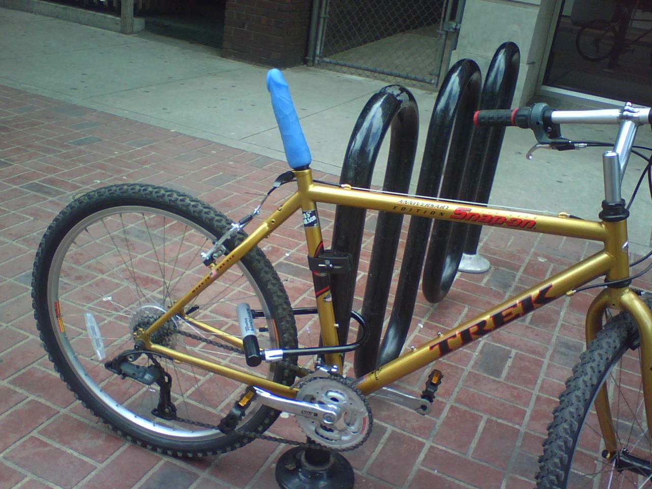 dildo%2Bbike.jpg