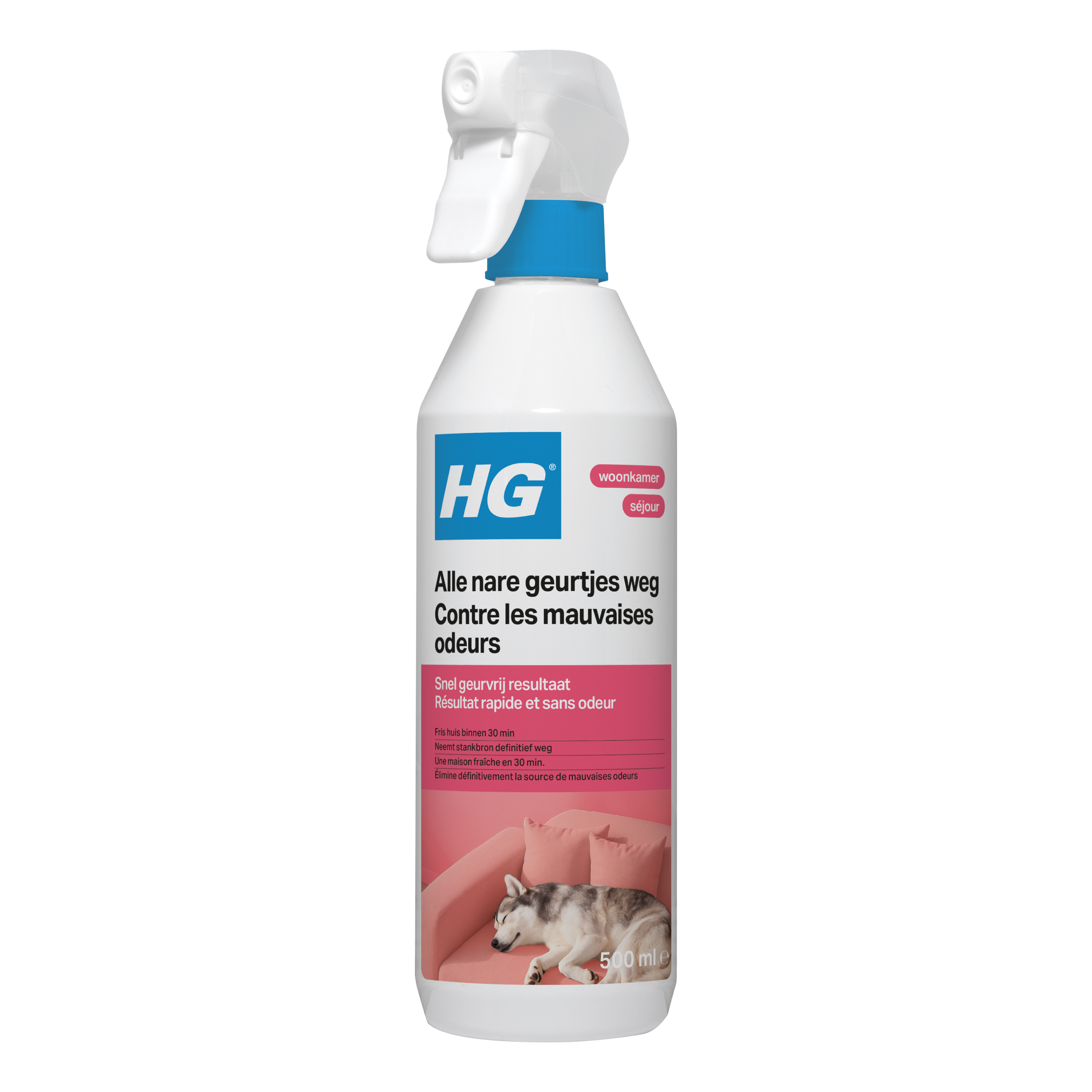 hg.eu