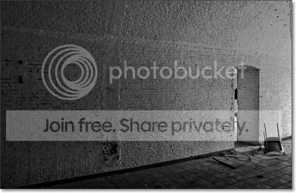 sized_IMG_3513.jpg