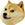 doge.png