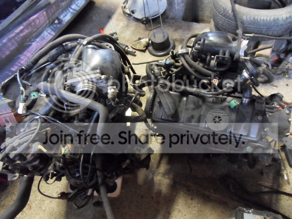 SDC12698.jpg