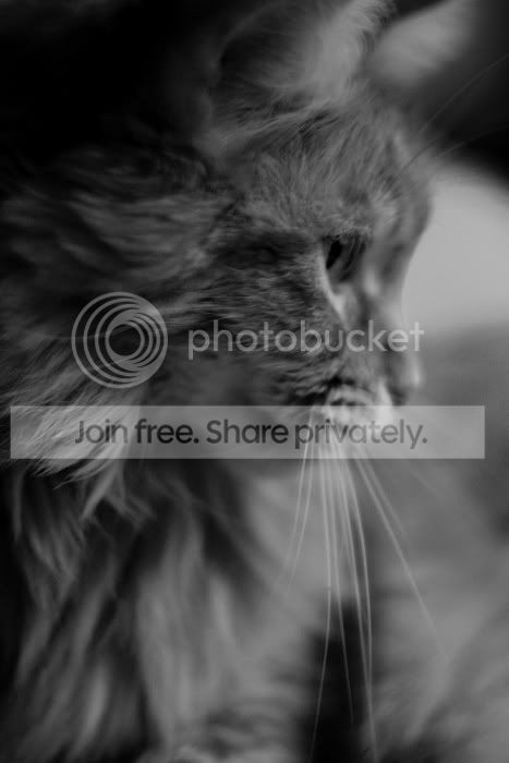 sized_IMG_3364.jpg