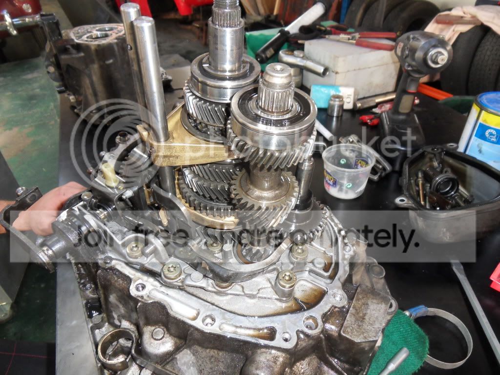 SDC12471.jpg