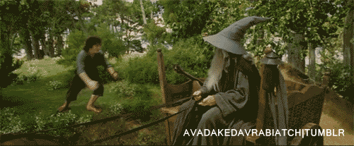tumblr_lpczquL9Nn1qe6oi5o1_500.gif