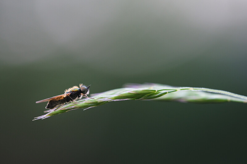 DSCF3128-L.jpg