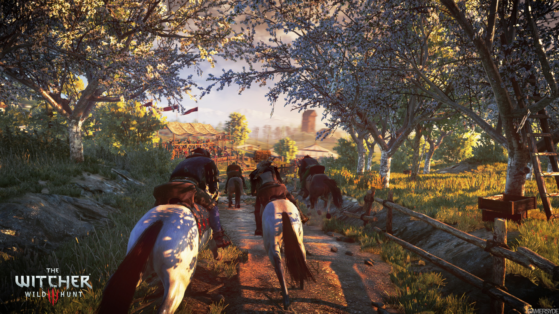 image_the_witcher_3_wild_hunt-25218-2651_0005.jpg