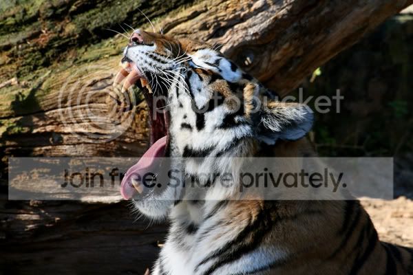 IMG_5298.jpg